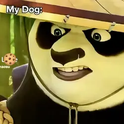 Kung fu Panda 