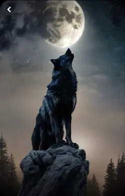 Wolf moonlight