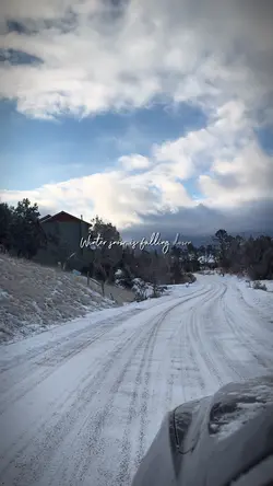 Winter Snow 2025