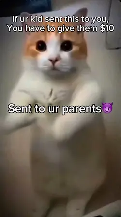 Cat dancin