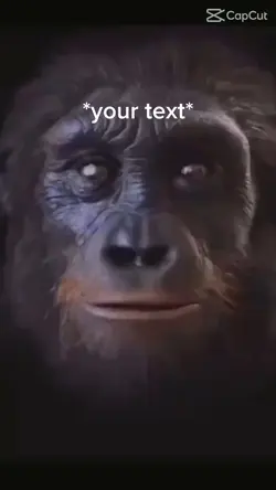 Monkey evolutio