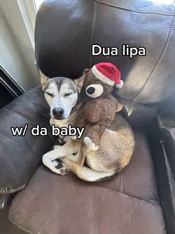 Dua lipa w/ da baby