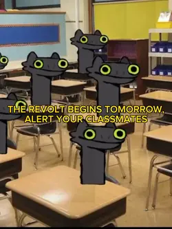 DANCE REVOLT