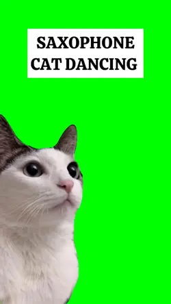 CAT DANCING meme