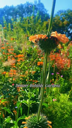 Botanic Gardens