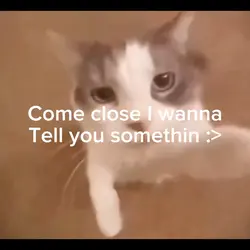 A sweet message