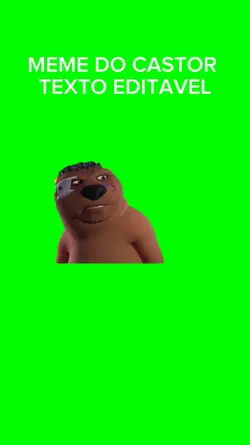 Meme do castor