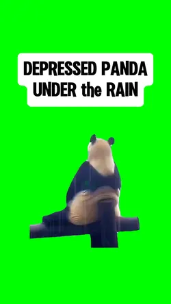 DEPRESSED PANDA