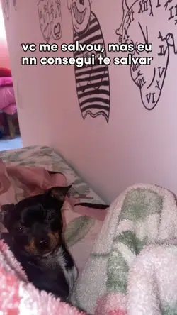 pet
