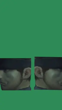 Solid Snake meme 