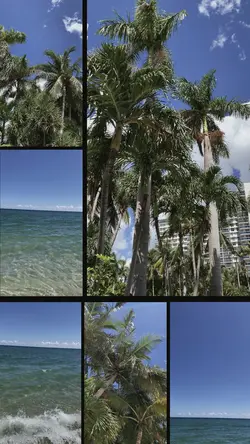 6 Videos Collage