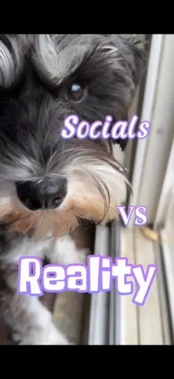 Socials VS reality