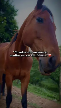 Cavalos 🐎❤️