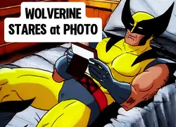 WOLVERINE STARES