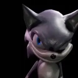 Rizzy sonic
