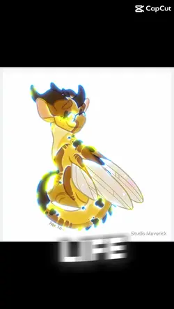 Cricket Edit