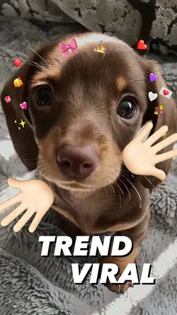 TREND FOFA! 💗