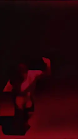 DD Osama - Red Light
