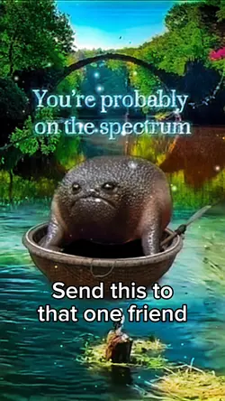 Frog Wisdom 🐸