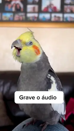 Grave o áudio 
