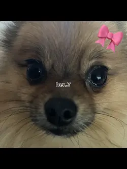 She’s not scary! >:(