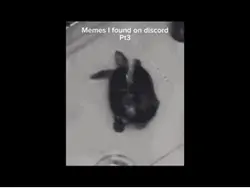 Meme i found 
