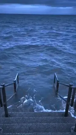 ocean meme
