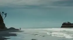 Pirates 