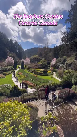 The Butchart Garden