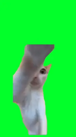 Kat Punching 