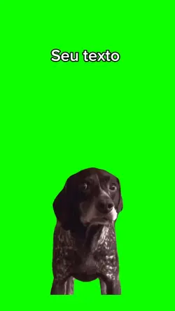meme Dog