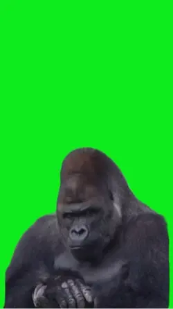 Angry gorilla 🦍 