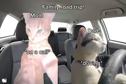 Family road trip👍