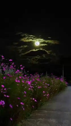Good night friends