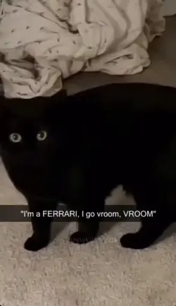 VROOM