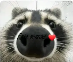 Free ringtone 