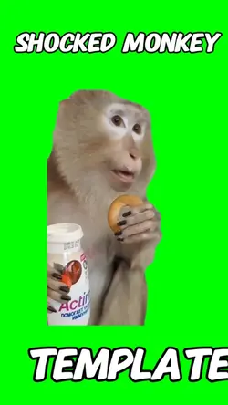 Shocked Monkey 