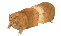 bruh