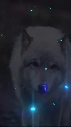 Lobos
