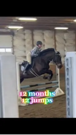 12 months 