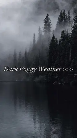 Dark Foggy Weather