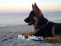 Please!!!
