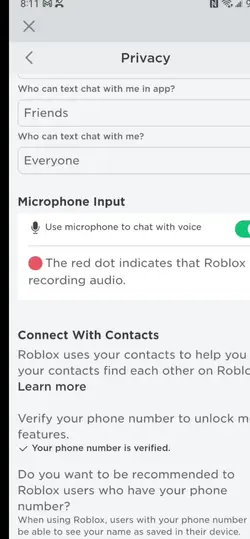 I got voice chat
