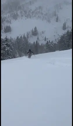 ski clips 🎿🎿