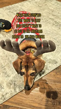 Cute baby #reindeer