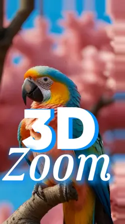 3D Zoom