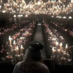 ' 𝐒irius e Harry!