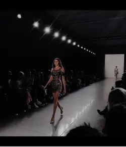 Model aesthetic 