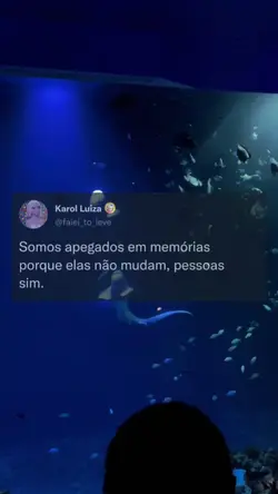Somente.