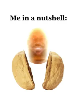 Me in a nutshell